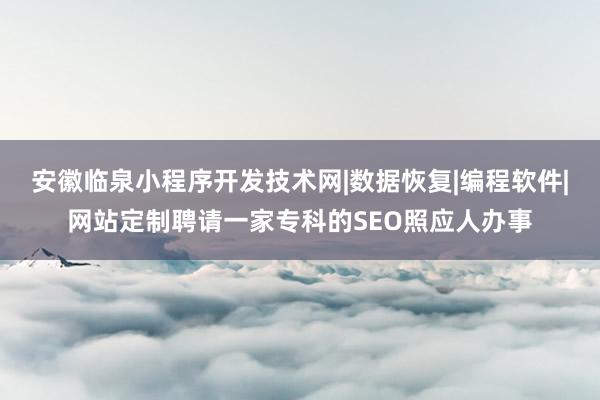 安徽临泉小程序开发技术网|数据恢复|编程软件|网站定制聘请一家专科的SEO照应人办事